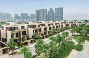 The Seine Collection – The Rivus BDShangsang (4)